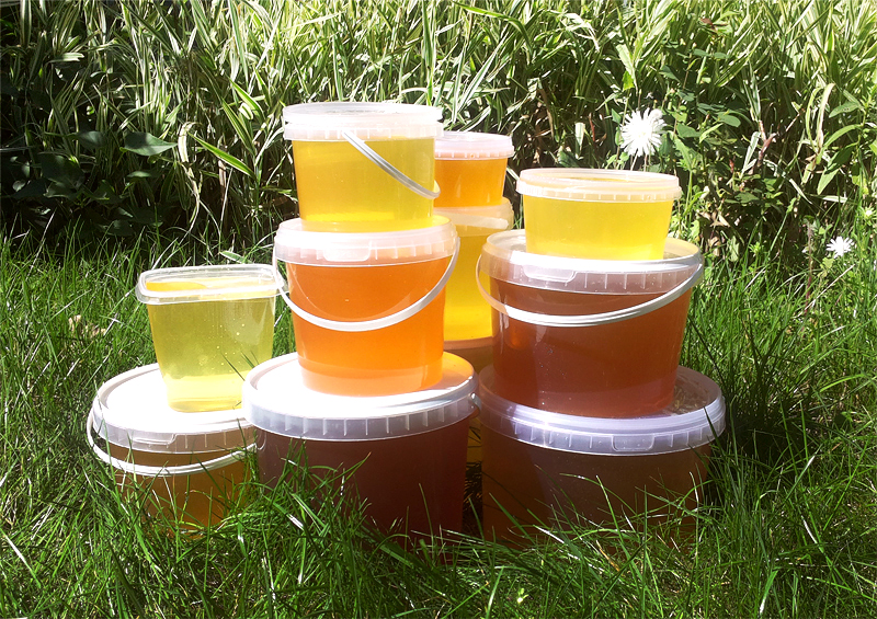 Шенталинский мёд мед в самаре